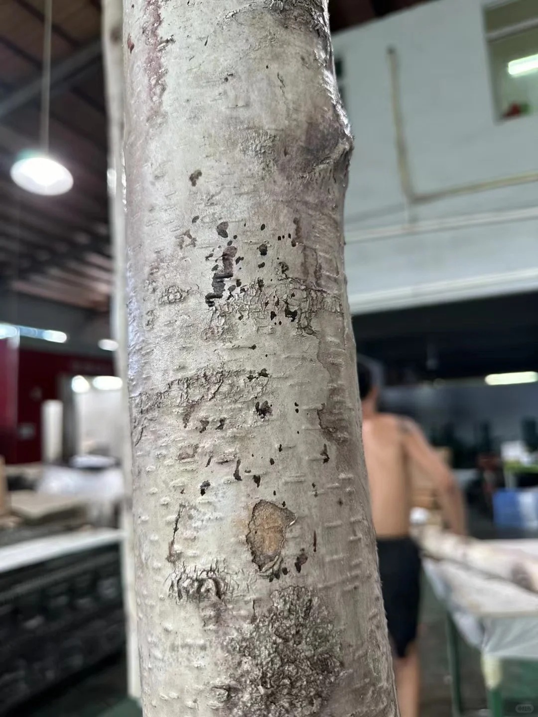 O1CN01H5PRmD1yBNGREcxxd_!!2217904406540-0-cib